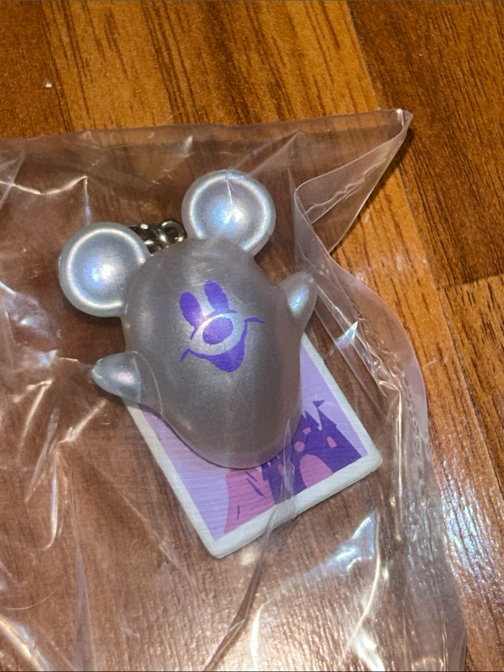 Brand New in Open Box Disney Tokyo Disney Resort Halloween 👻 2025 Ghost Charm